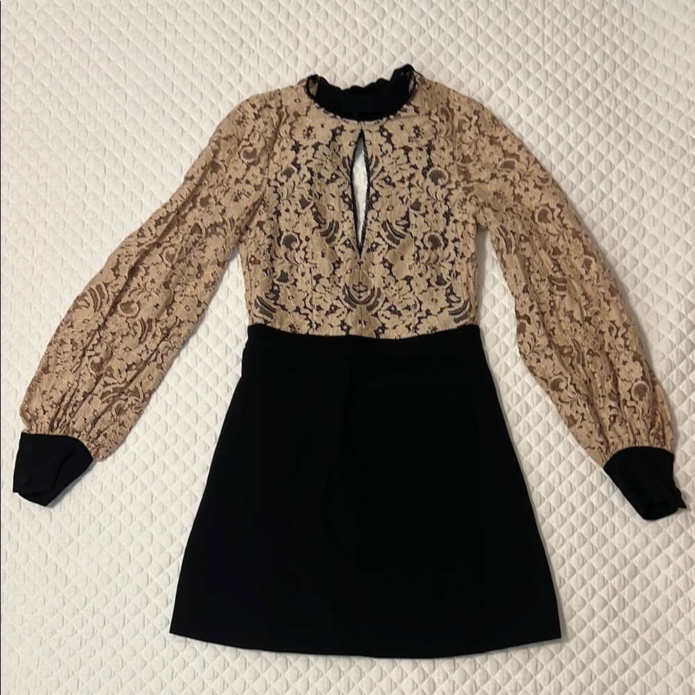 Elegant Lace Long Sleeve Dress with open back